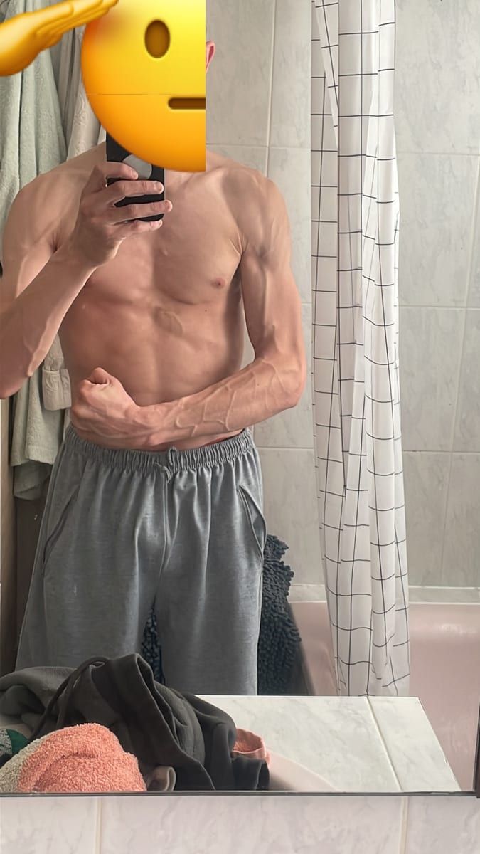 Perfil de Palmyr